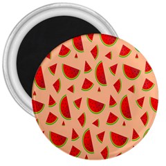 Fruit-water Melon 3  Magnets by nateshop