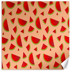 Fruit-water Melon Canvas 20  X 20  by nateshop