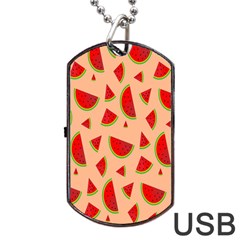 Fruit-water Melon Dog Tag Usb Flash (two Sides) by nateshop