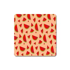 Fruit-water Melon Square Magnet by nateshop