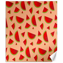 Fruit-water Melon Canvas 20  X 24  by nateshop