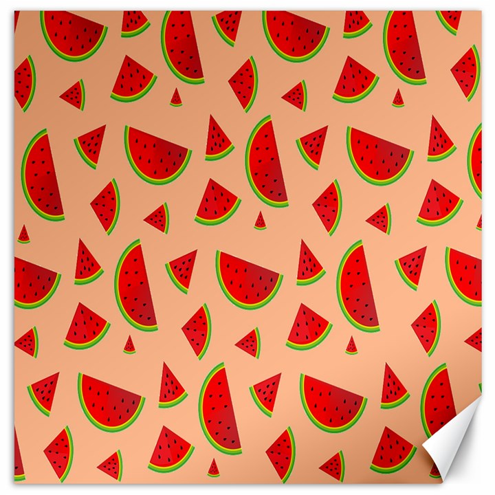 Fruit-water Melon Canvas 12  x 12 