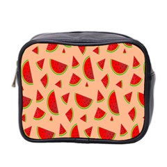 Fruit-water Melon Mini Toiletries Bag (two Sides) by nateshop