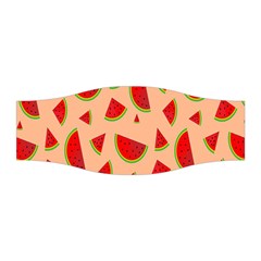 Fruit-water Melon Stretchable Headband by nateshop