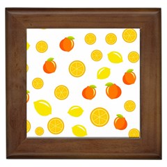 Fruits,orange Framed Tile by nateshop