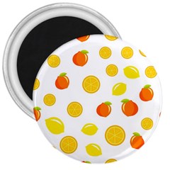 Fruits,orange 3  Magnets by nateshop