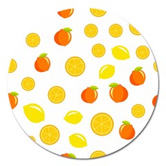 Fruits,orange Magnet 5  (round) by nateshop