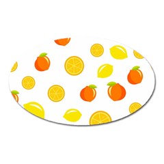 Fruits,orange Oval Magnet by nateshop