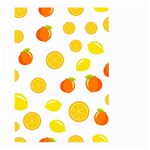 Fruits,orange Large Garden Flag (Two Sides) Front