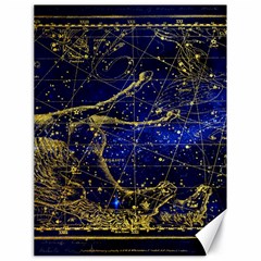 Constellation Horse Dolphin Canvas 18  x 24 