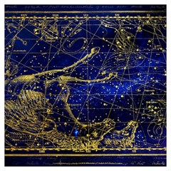 Constellation Horse Dolphin Lightweight Scarf 