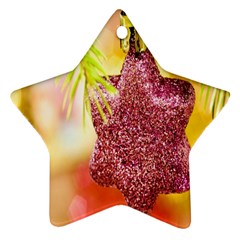 Christmas Decoration Star Star Ornament (two Sides) by artworkshop