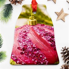 Christmas Decoration 7 Bell Ornament (two Sides) by artworkshop