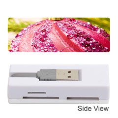 Christmas Decoration 7 Memory Card Reader (stick) by artworkshop