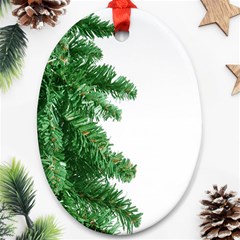 Green Christmas Tree Border Ornament (oval) by artworkshop