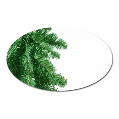 Green Christmas Tree Border Oval Magnet by artworkshop