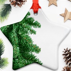 Green Christmas Tree Border Star Ornament (two Sides) by artworkshop