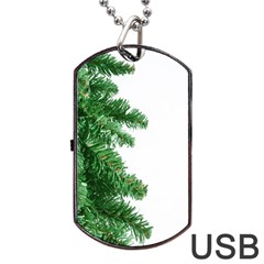 Green Christmas Tree Border Dog Tag Usb Flash (two Sides) by artworkshop