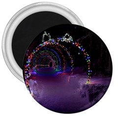 Outdoor Christmas Lights Tunnel 3  Magnets by artworkshop