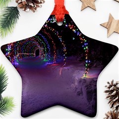 Outdoor Christmas Lights Tunnel Ornament (star) by artworkshop