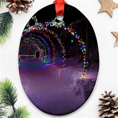 Outdoor Christmas Lights Tunnel Oval Ornament (two Sides) by artworkshop