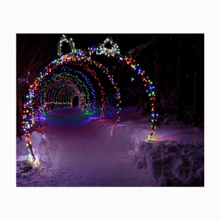 Outdoor Christmas Lights Tunnel Small Glasses Cloth (2 Sides)