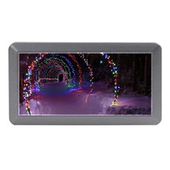 Outdoor Christmas Lights Tunnel Memory Card Reader (mini)