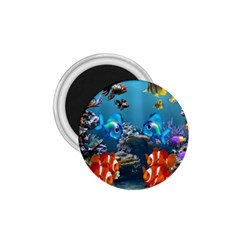 Aquarium Fish Tank Sea Life 1 75  Magnets by Wegoenart