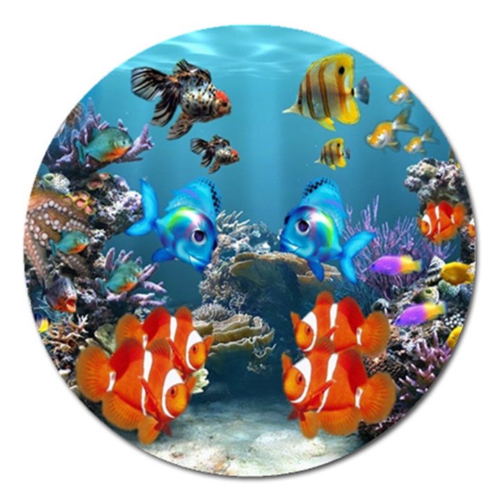 Aquarium Fish Tank Sea Life Magnet 5  (Round)