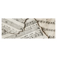 Music Notes Note Music Melody Sound Pattern Banner And Sign 8  X 3  by Ravend