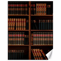 Book Bookshelf Bookcase Library Canvas 18  X 24  by Ravend