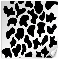 Cow Black And White Spots Canvas 12  X 12  by ConteMonfrey