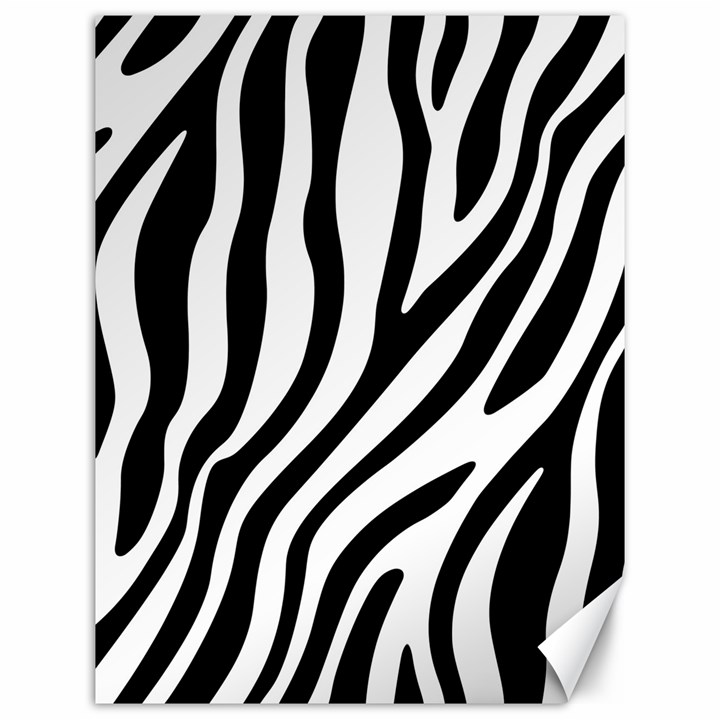 Zebra Vibes Animal Print Canvas 12  x 16 