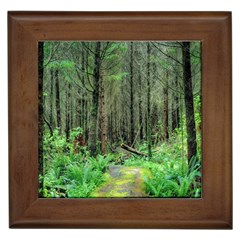 Forest Woods Nature Landscape Tree Framed Tile by Celenk