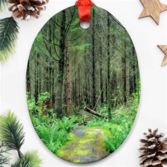 Forest Woods Nature Landscape Tree Ornament (oval)