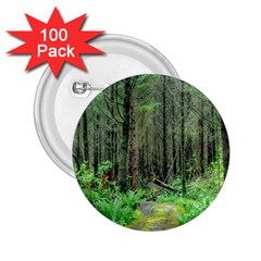 Forest Woods Nature Landscape Tree 2 25  Buttons (100 Pack)  by Celenk