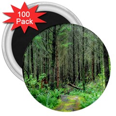 Forest Woods Nature Landscape Tree 3  Magnets (100 Pack) by Celenk