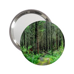 Forest Woods Nature Landscape Tree 2 25  Handbag Mirrors by Celenk