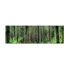 Forest Woods Nature Landscape Tree Sticker Bumper (100 Pack) by Celenk