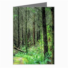 Forest Woods Nature Landscape Tree Greeting Card