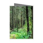 Forest Woods Nature Landscape Tree Mini Greeting Cards (Pkg of 8) Left