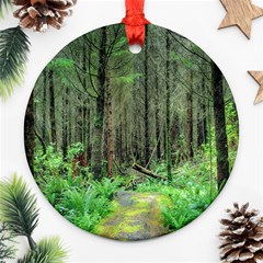 Forest Woods Nature Landscape Tree Round Ornament (two Sides) by Celenk