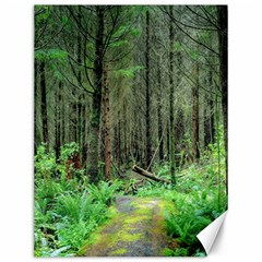 Forest Woods Nature Landscape Tree Canvas 12  X 16  by Celenk