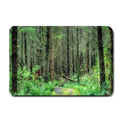 Forest Woods Nature Landscape Tree Small Doormat by Celenk