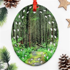 Forest Woods Nature Landscape Tree Oval Filigree Ornament (two Sides)