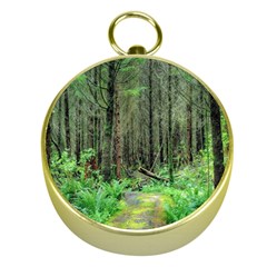 Forest Woods Nature Landscape Tree Gold Compasses by Celenk