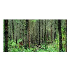 Forest Woods Nature Landscape Tree Satin Shawl 45  X 80  by Celenk