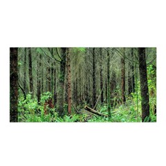 Forest Woods Nature Landscape Tree Satin Wrap 35  X 70  by Celenk