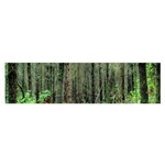 Forest Woods Nature Landscape Tree Oblong Satin Scarf (16  x 60 ) Front