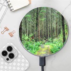 Forest Woods Nature Landscape Tree Wireless Charger by Celenk